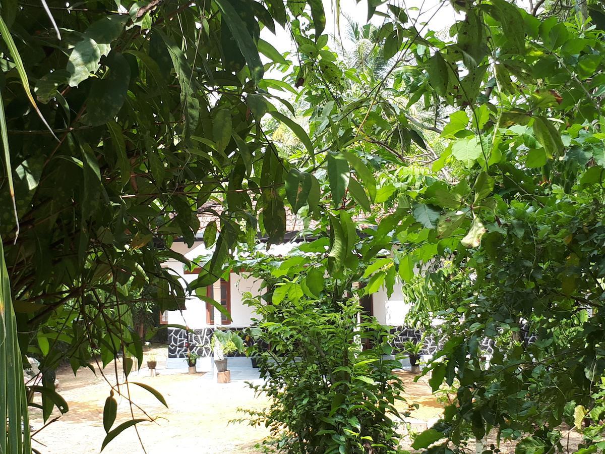 New Sam Tourist Inn Weligama Exterior photo